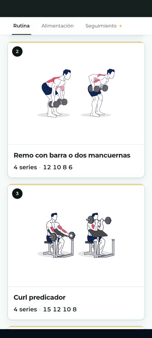 Rutina con los ejercicios ilustrados, series y repeticiones